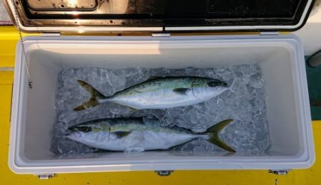 火遠理丸(ほおりまる) 釣果