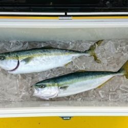 火遠理丸(ほおりまる) 釣果