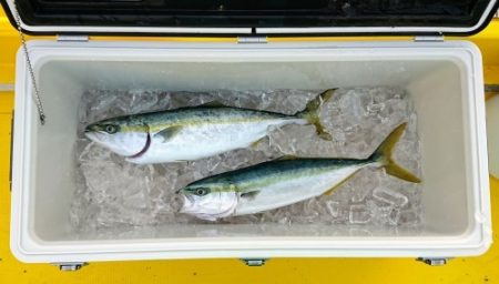 火遠理丸(ほおりまる) 釣果