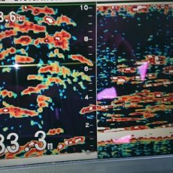 火遠理丸(ほおりまる) 釣果