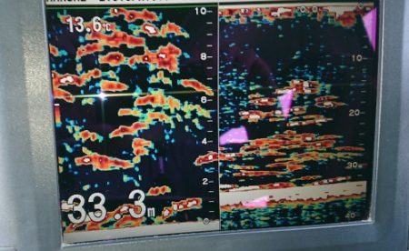 火遠理丸(ほおりまる) 釣果