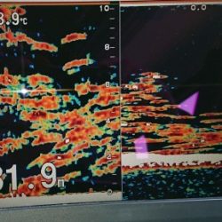 火遠理丸(ほおりまる) 釣果