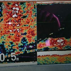 火遠理丸(ほおりまる) 釣果