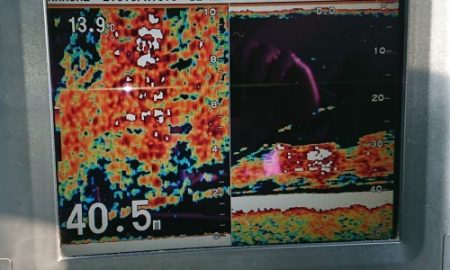 火遠理丸(ほおりまる) 釣果