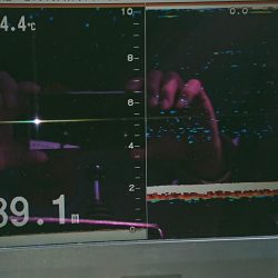 火遠理丸(ほおりまる) 釣果