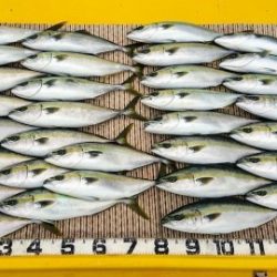 火遠理丸(ほおりまる) 釣果