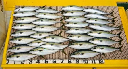 火遠理丸（ほおりまる） 釣果