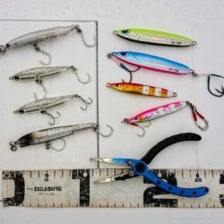 火遠理丸(ほおりまる) 釣果