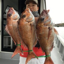 ミタチ丸 釣果