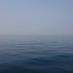 スカイマリン 釣果