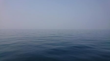 スカイマリン 釣果