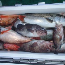 第二むつ漁丸 釣果