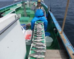 久里浜黒川本家 釣果