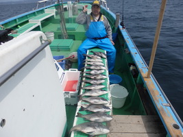 久里浜黒川本家 釣果