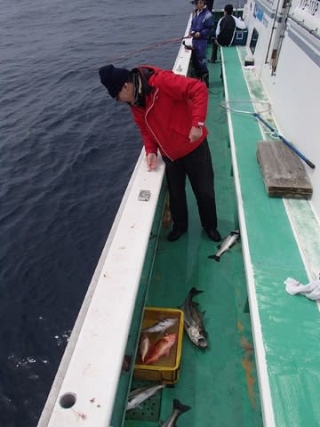 第二むつ漁丸 釣果