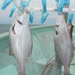 こうゆう丸 釣果