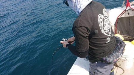 スカイマリン 釣果