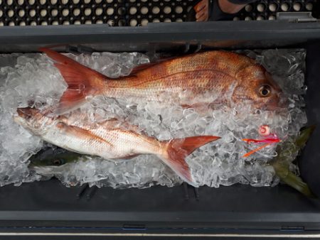 武勝丸（ぶしょうまる） 釣果