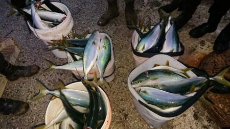 スカイマリン 釣果