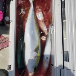 遊漁船 ニライカナイ 釣果