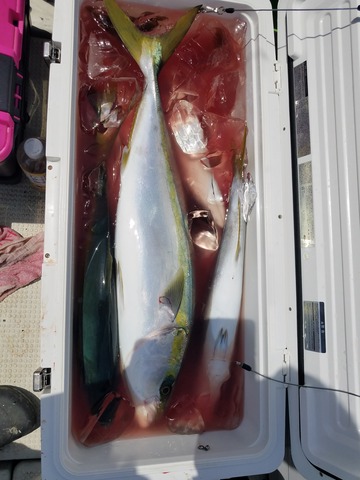 遊漁船　ニライカナイ 釣果