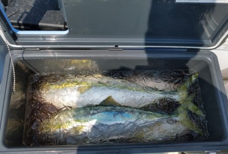 遊漁船 ニライカナイ 釣果