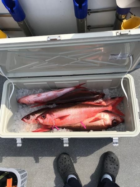 へいみつ丸 釣果