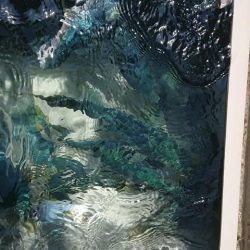 スカイマリン 釣果