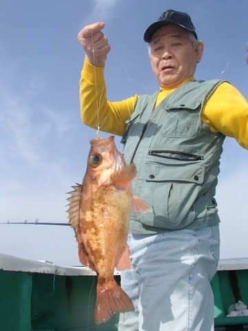 第二むつ漁丸 釣果