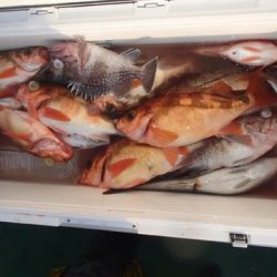 第二むつ漁丸 釣果