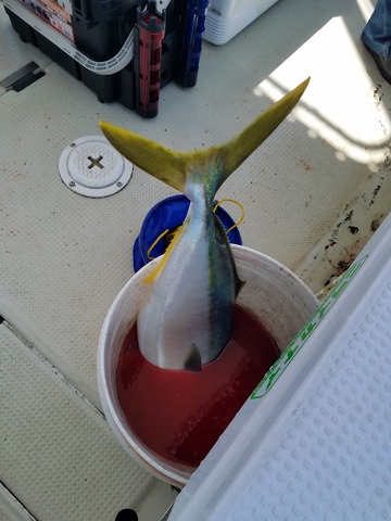 遊漁船 ニライカナイ 釣果