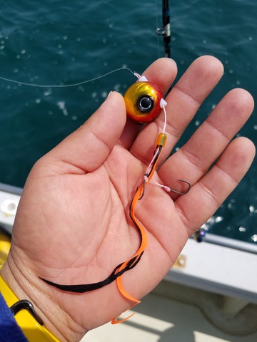 遊漁船　ニライカナイ 釣果