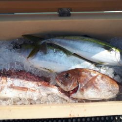 武勝丸(ぶしょうまる) 釣果