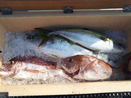 武勝丸(ぶしょうまる) 釣果