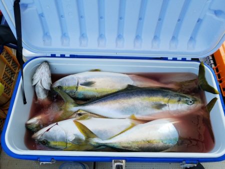 遊漁船 ニライカナイ 釣果