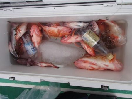 第二むつ漁丸 釣果