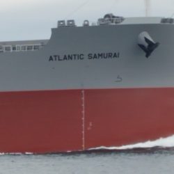 遊漁船 ニライカナイ 釣果