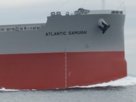 遊漁船 ニライカナイ 釣果