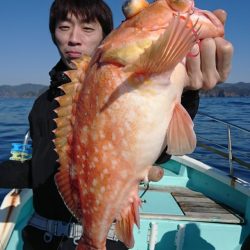 シードリーム 釣果