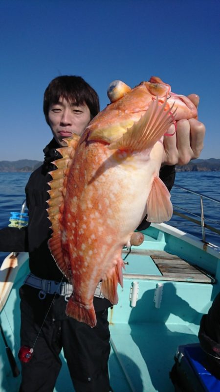 シードリーム 釣果