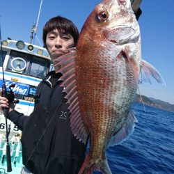 シードリーム 釣果