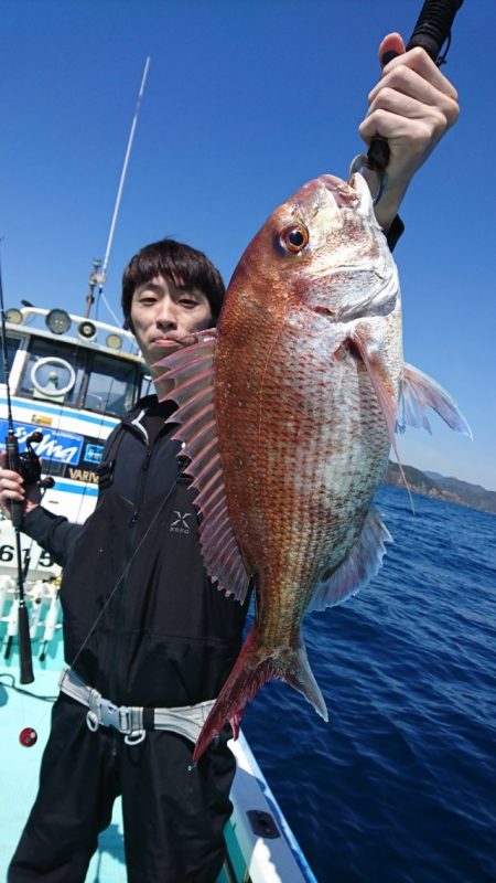 シードリーム 釣果