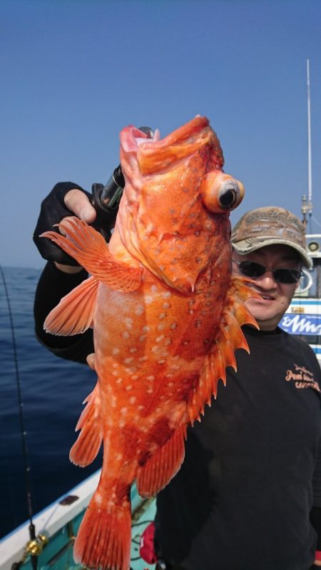 シードリーム 釣果