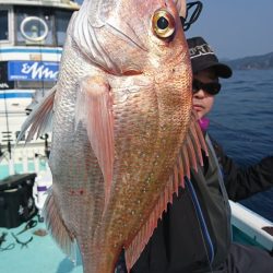 シードリーム 釣果