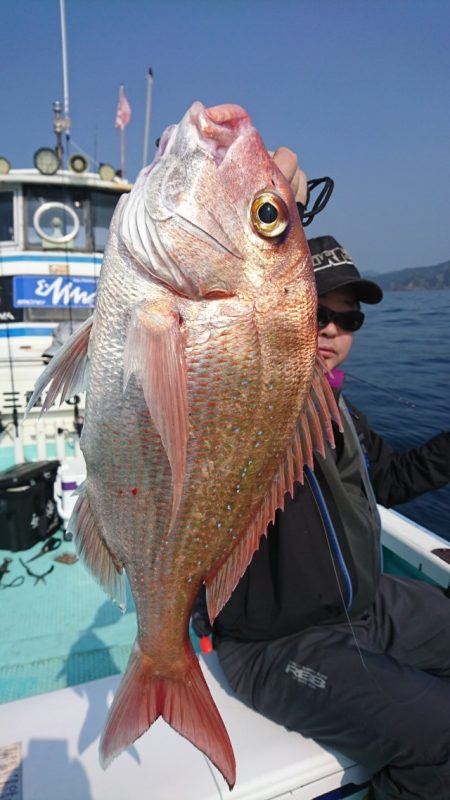 シードリーム 釣果