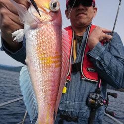 シードリーム 釣果