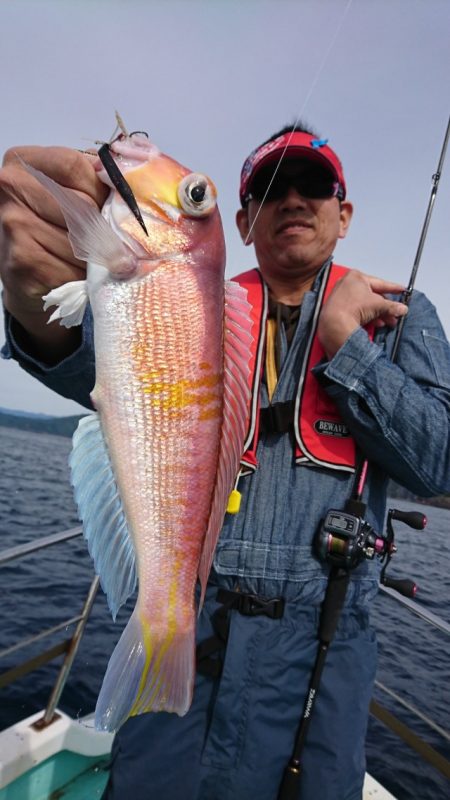 シードリーム 釣果