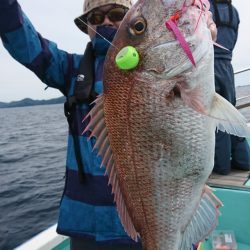 シードリーム 釣果