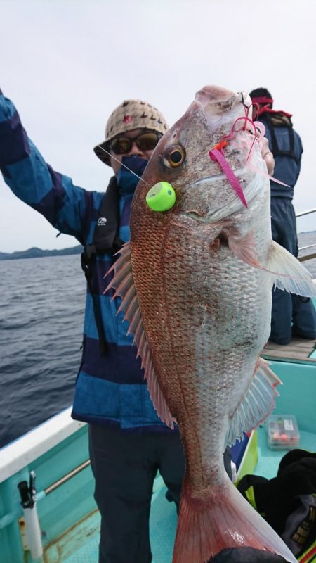 シードリーム 釣果