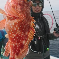 シードリーム 釣果